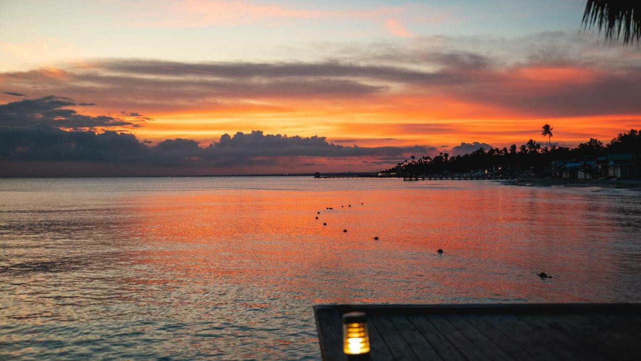 Be Live Collection Canoa Bayahibe Zewnętrze zdjęcie Sunset at the Port of San Diego